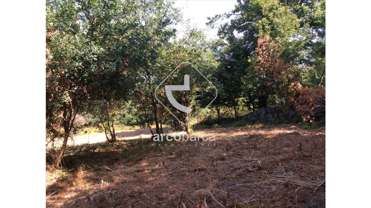 Terreno para Venda em Souto e Tabaçô Foto 11