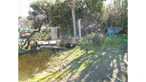 Terreno para Venda em Castelo Branco
