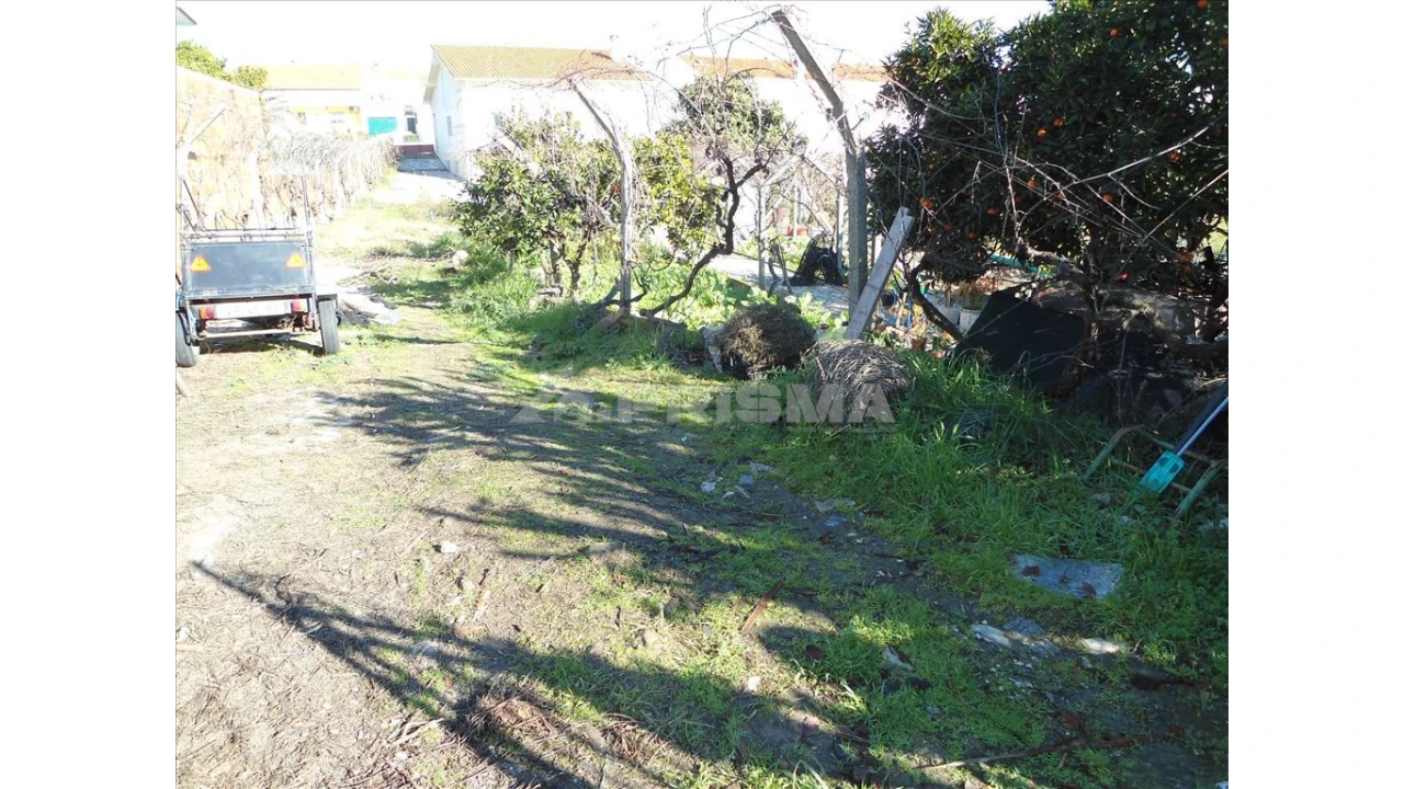 Terreno para Venda em Castelo Branco Foto 3