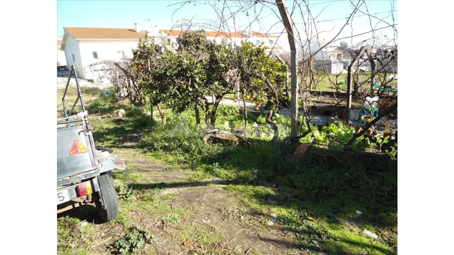 Terreno para Venda em Castelo Branco Foto 5
