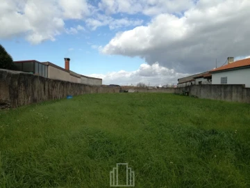Terreno Agricola ou Rústico para Venda em Avanca