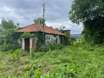Negócio para Venda em Rans