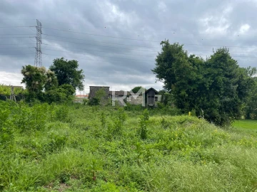 Negócio para Venda em Rans