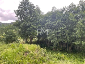 Negócio para Venda em Rans