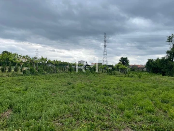 Negócio para Venda em Rans