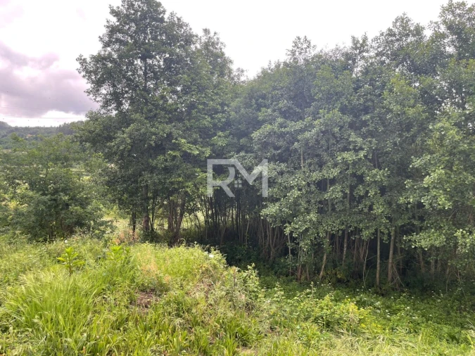 Negócio para Venda em Rans Foto 12