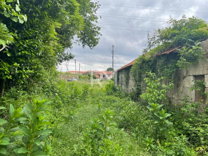 Negócio para Venda em Rans Foto 13