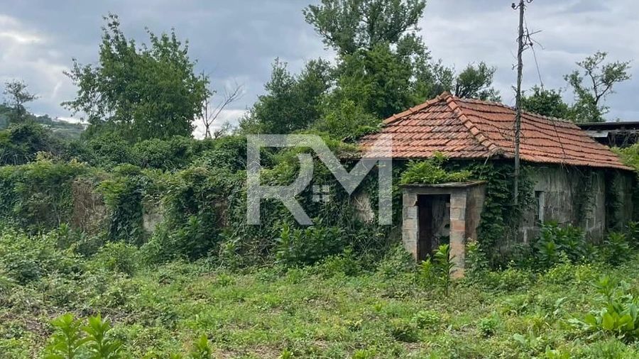 Negócio para Venda em Rans