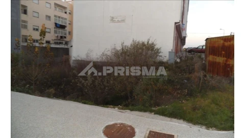 Terreno para Venda em Castelo Branco