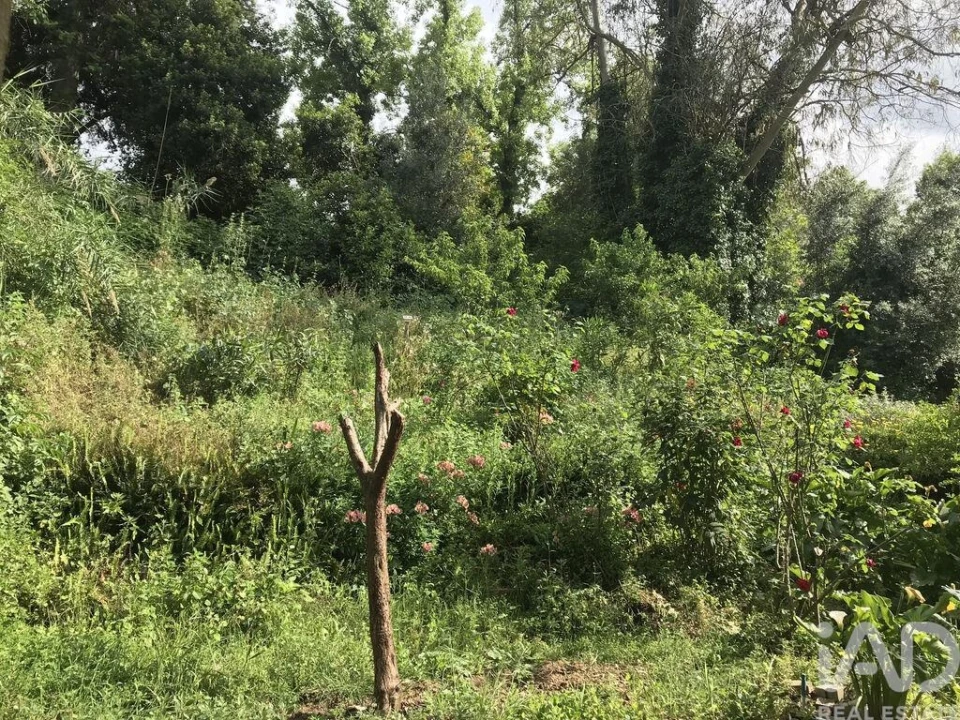 Apartamento T2 para Venda em São Martinho do Bispo e Ribeira de Frades Foto 23