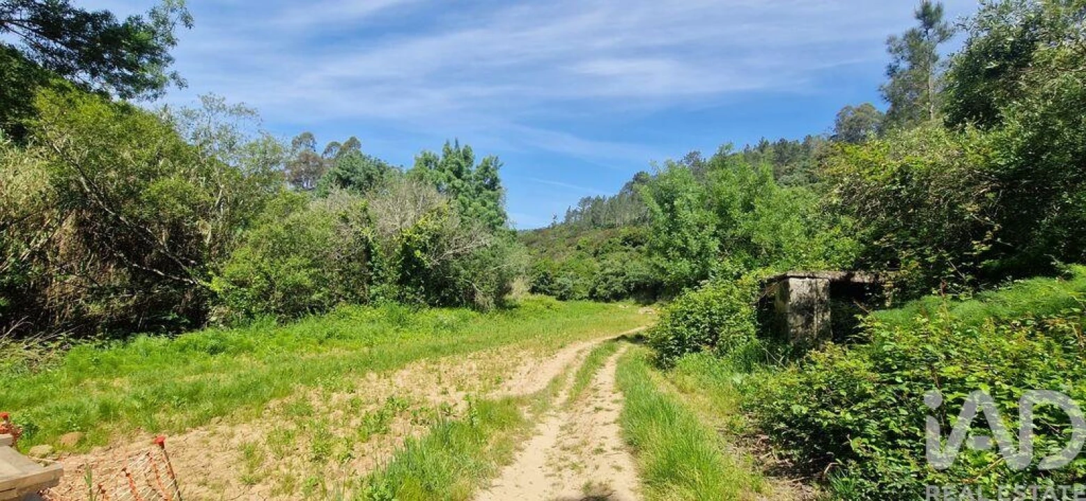 Terreno para Venda em Mafra Foto 18