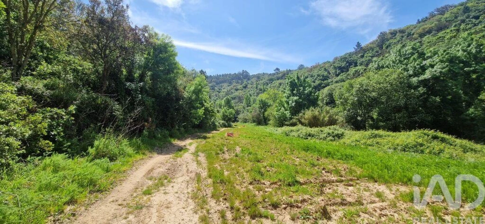 Terreno para Venda em Mafra Foto 8