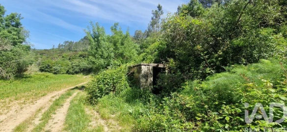 Terreno para Venda em Mafra