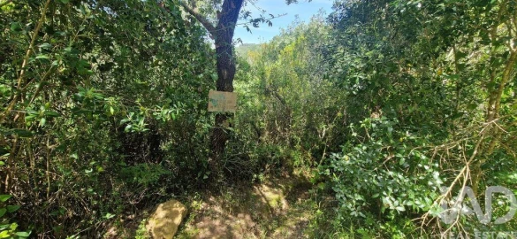 Terreno para Venda em Mafra