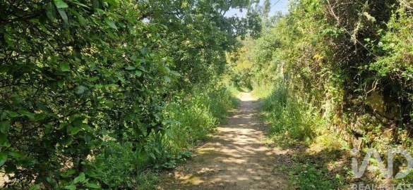 Terreno para Venda em Mafra