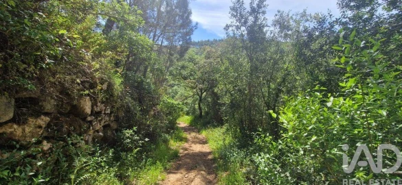 Terreno para Venda em Mafra