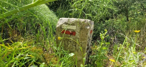 Terreno para Venda em Mafra