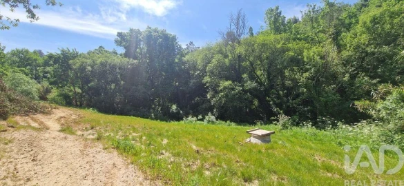 Terreno para Venda em Mafra