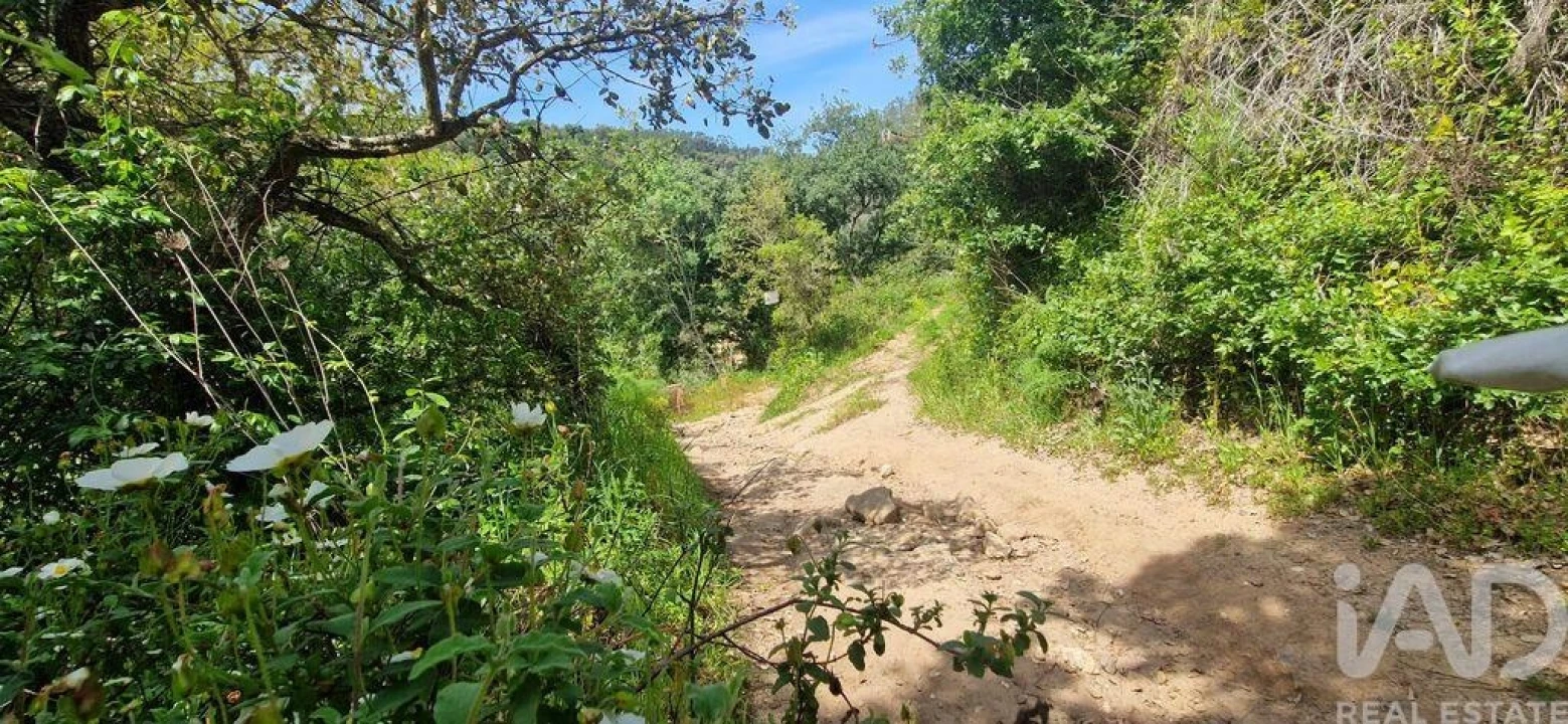 Terreno para Venda em Mafra Foto 25