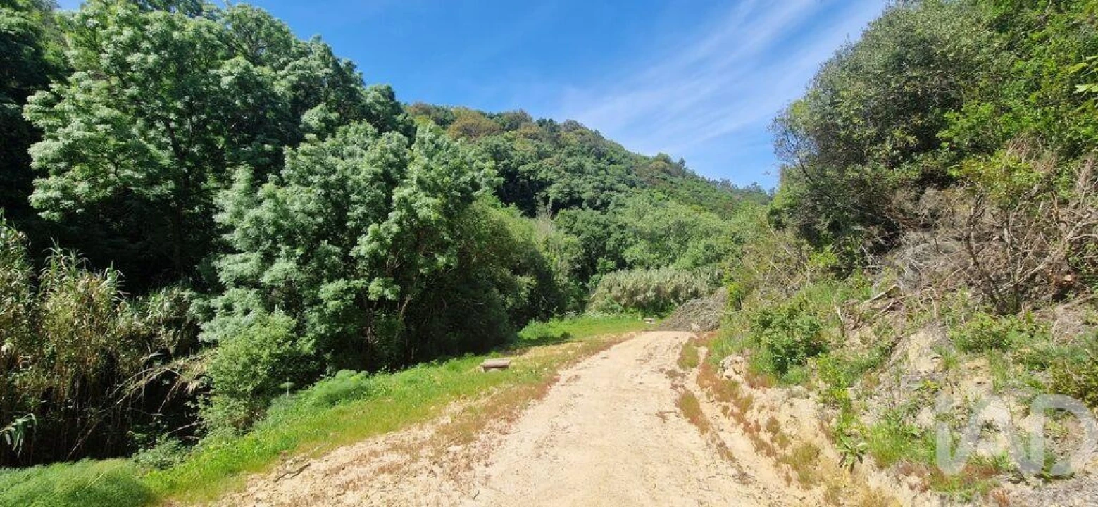 Terreno para Venda em Mafra Foto 21