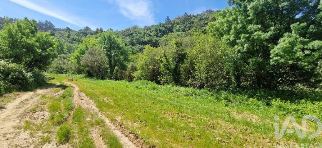 Terreno para Venda em Mafra Foto 13