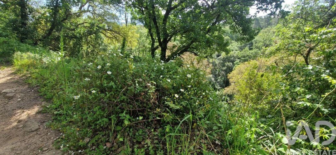 Terreno para Venda em Mafra Foto 2