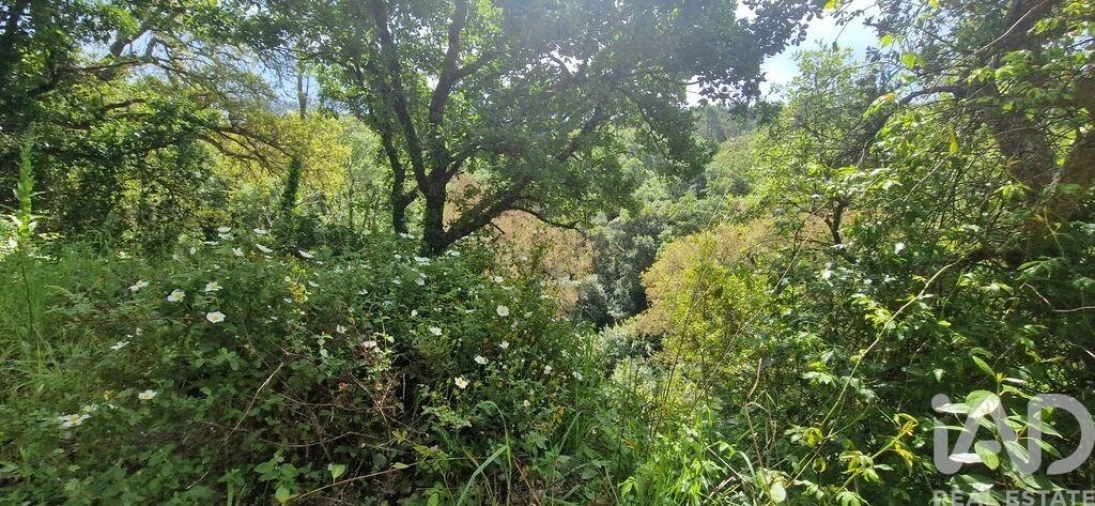 Terreno para Venda em Mafra Foto 4