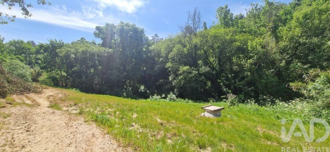 Terreno para Venda em Mafra Foto 16