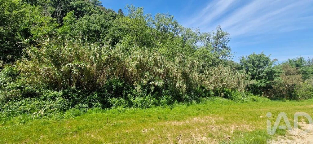 Terreno para Venda em Mafra Foto 20