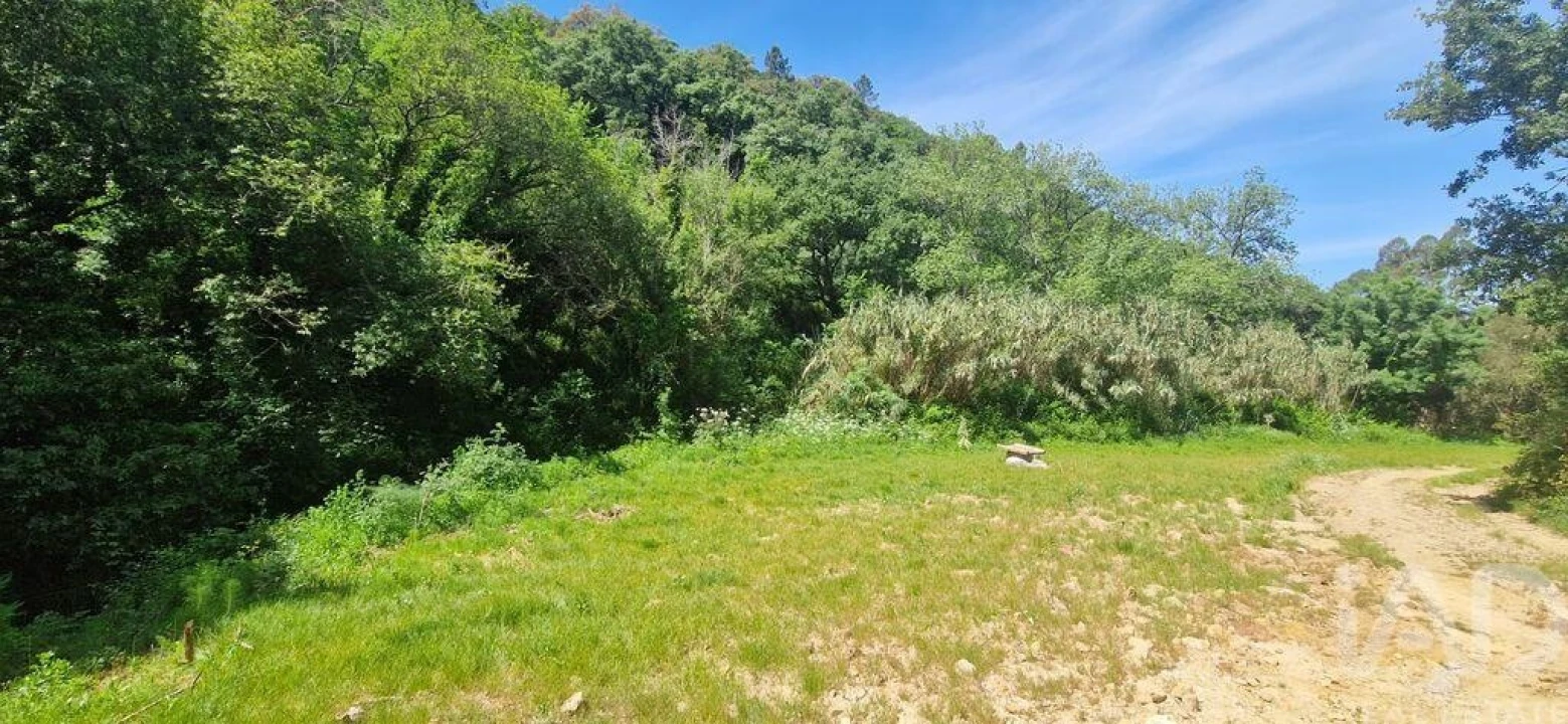 Terreno para Venda em Mafra Foto 1
