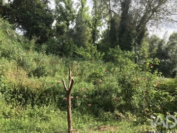 Prédio para Venda em São Martinho do Bispo e Ribeira de Frades