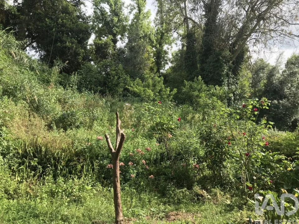 Prédio para Venda em São Martinho do Bispo e Ribeira de Frades Foto 4
