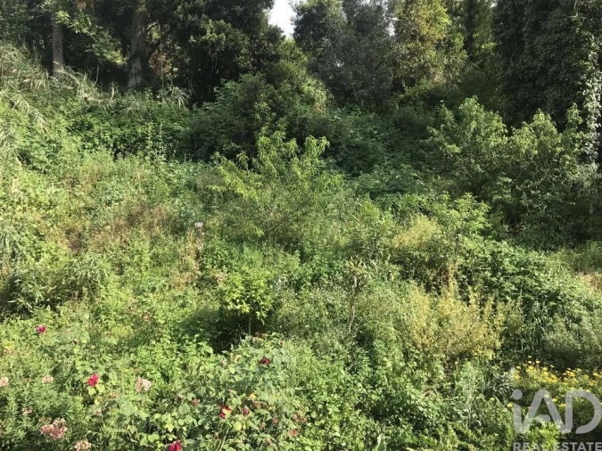 Prédio para Venda em São Martinho do Bispo e Ribeira de Frades Foto 34