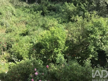 Apartamento T2 para Venda em São Martinho do Bispo e Ribeira de Frades