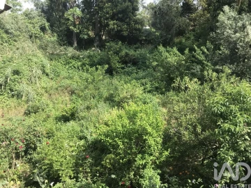 Apartamento T2 para Venda em São Martinho do Bispo e Ribeira de Frades