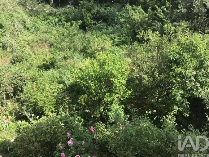 Apartamento T2 para Venda em São Martinho do Bispo e Ribeira de Frades Foto 15