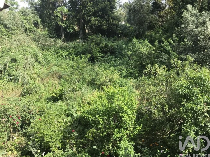 Apartamento T2 para Venda em São Martinho do Bispo e Ribeira de Frades Foto 37