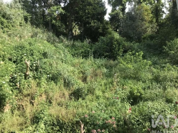 Apartamento T2 para Venda em São Martinho do Bispo e Ribeira de Frades