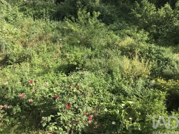 Apartamento T2 para Venda em São Martinho do Bispo e Ribeira de Frades
