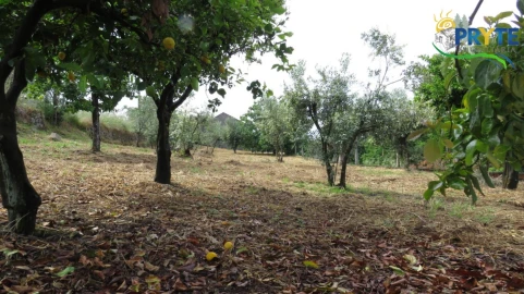 Moradia para Venda em Sertã