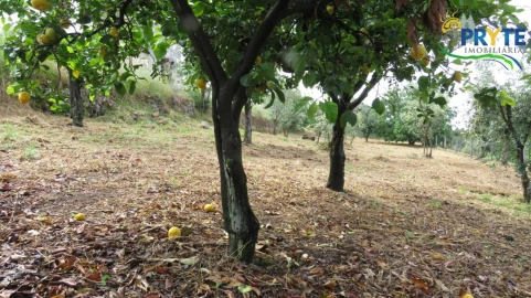 Moradia para Venda em Sertã