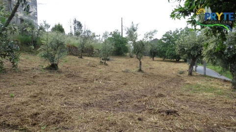 Moradia para Venda em Sertã