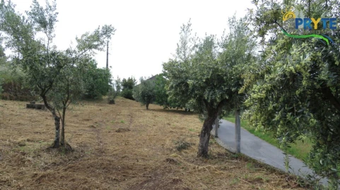 Moradia para Venda em Sertã