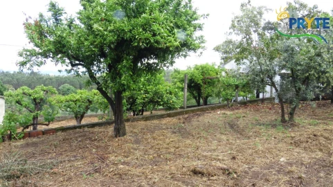 Moradia para Venda em Sertã