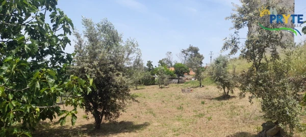 Moradia para Venda em Sertã