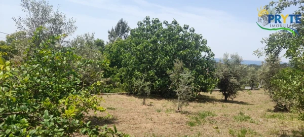 Moradia para Venda em Sertã