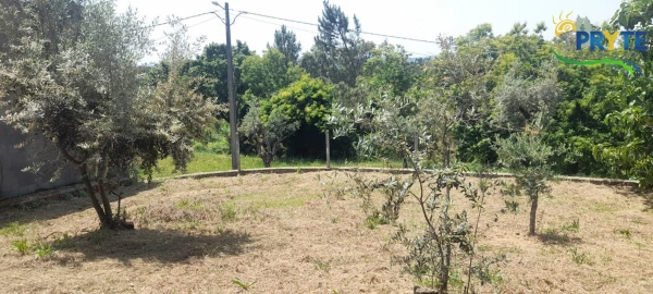 Moradia para Venda em Sertã