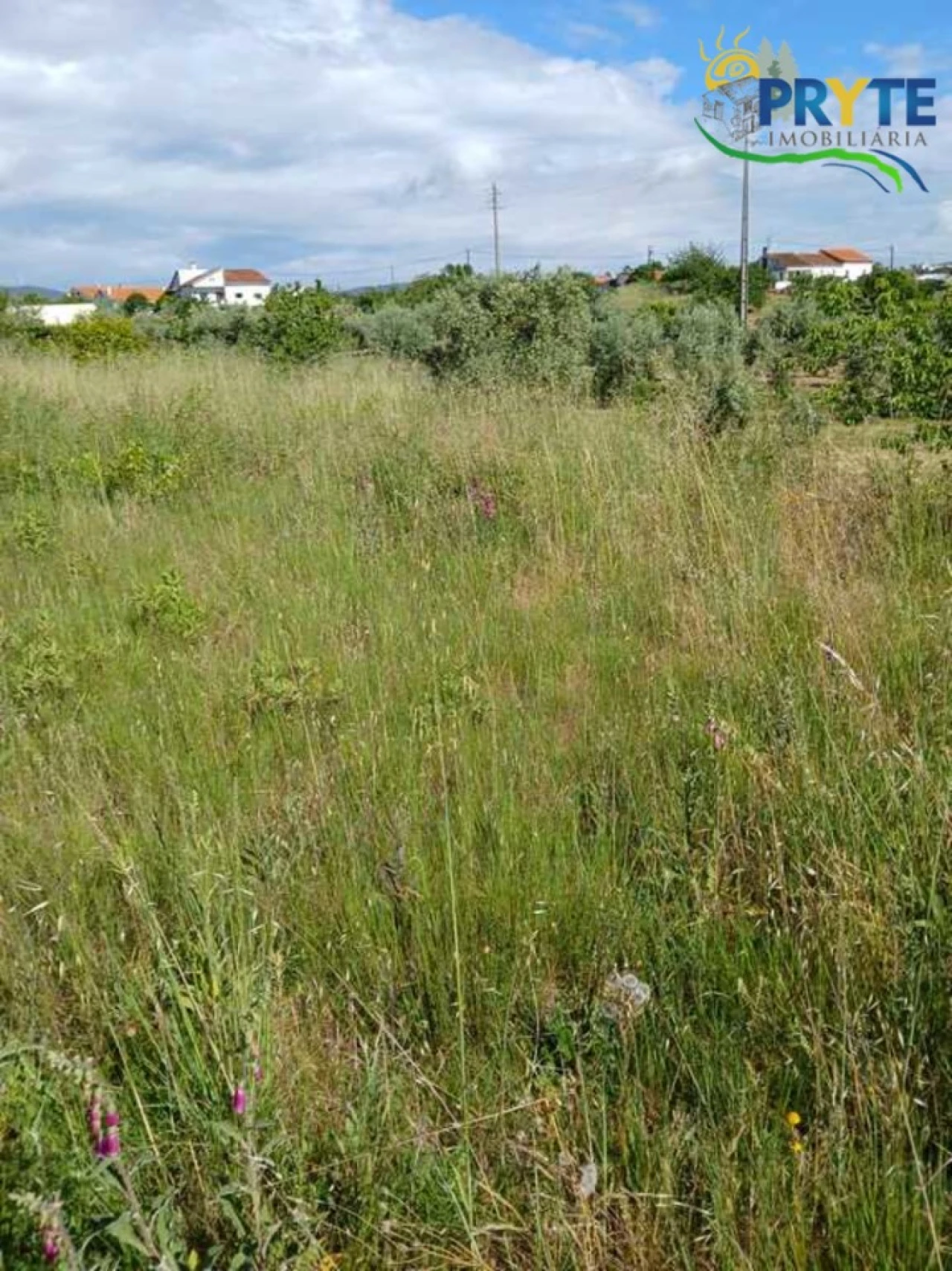 Terreno para Venda em Montes da Senhora Foto 1
