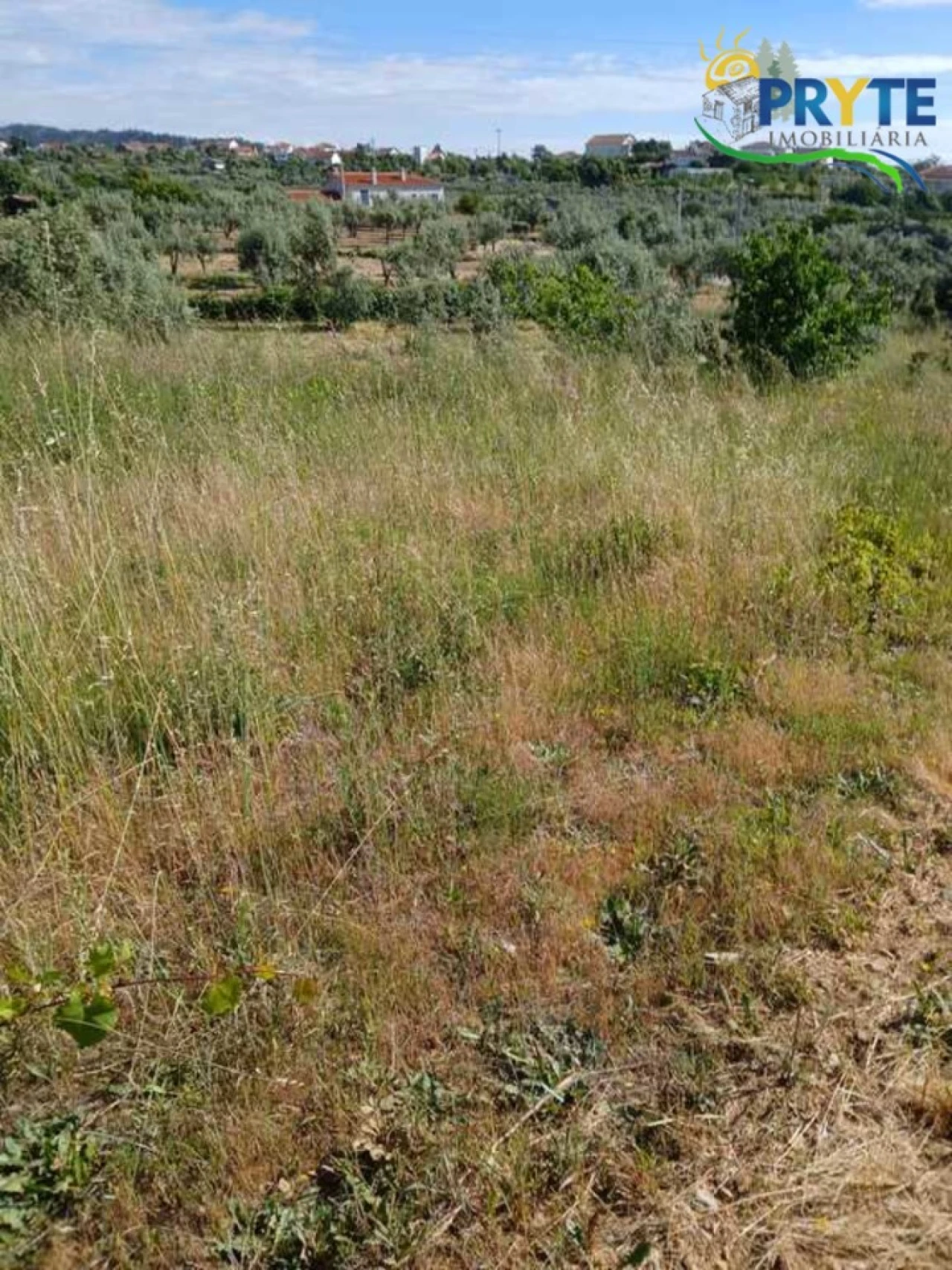 Terreno para Venda em Montes da Senhora Foto 4