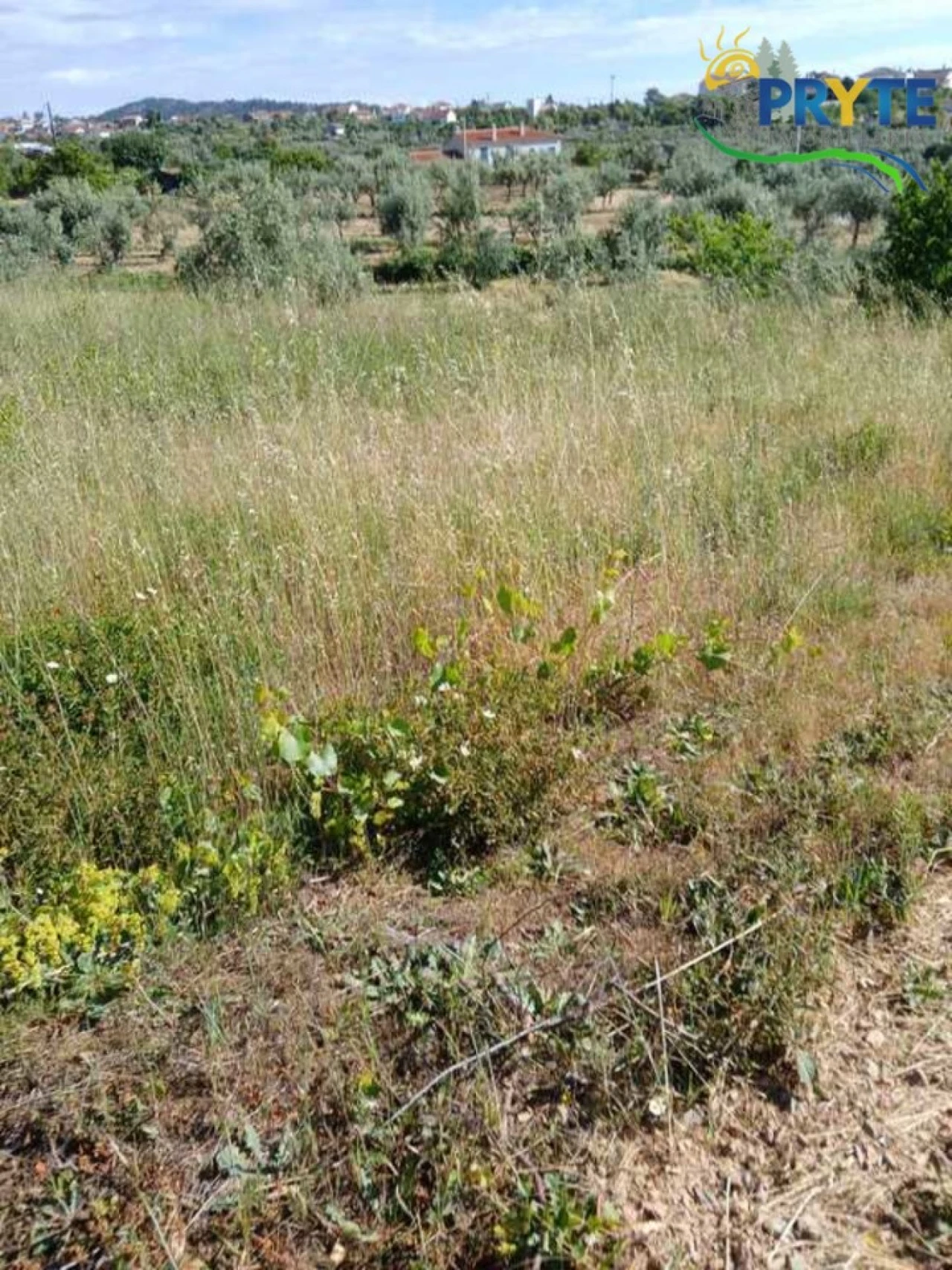 Terreno para Venda em Montes da Senhora Foto 5
